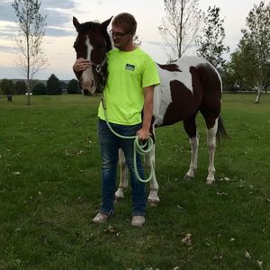 Meet your Posher, Dylan